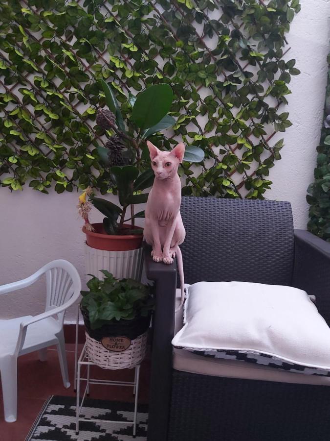 마드리드 Casa De Ciss 아파트 외부 사진