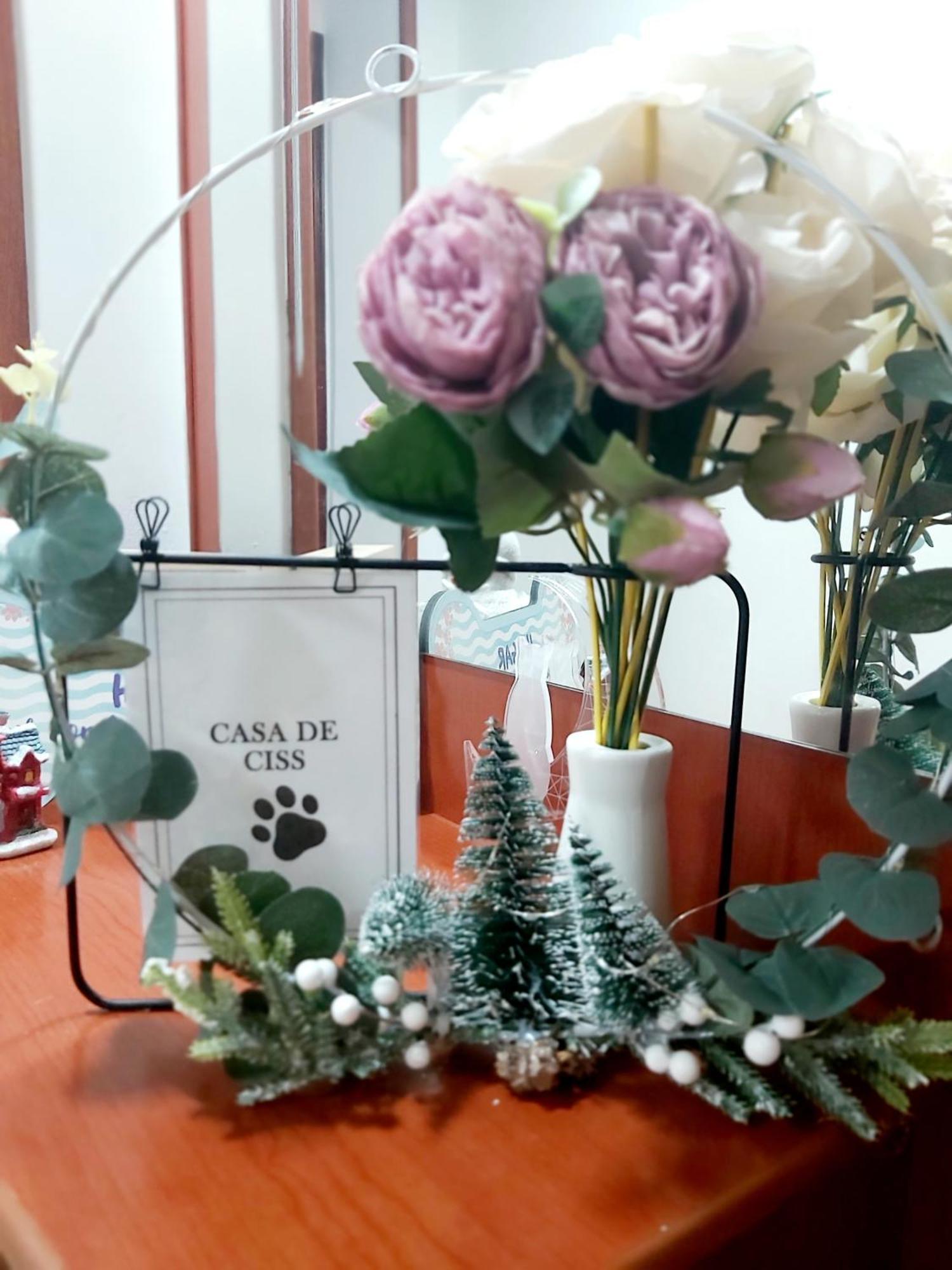 마드리드 Casa De Ciss 아파트 외부 사진